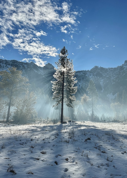 Apple celebrates America’s national parks with an Apple Pay donation campaign and new ways to explore with Apple Maps